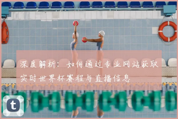 深度解析：如何通过专业网站获取实时世界杯赛程与直播信息
