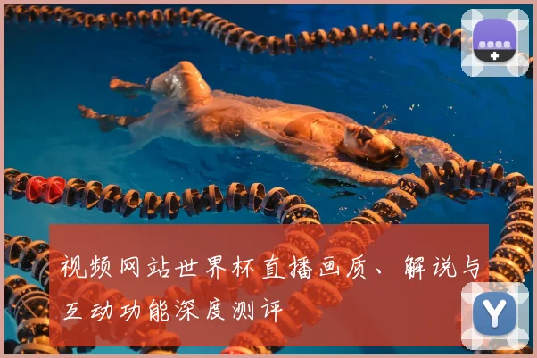 视频网站世界杯直播画质、解说与互动功能深度测评