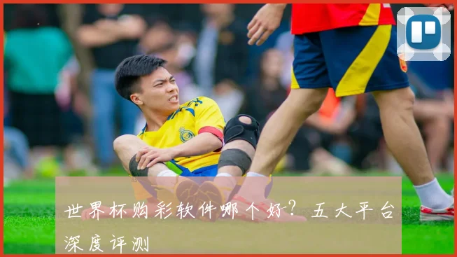 世界杯购彩软件哪个好？五大平台深度评测