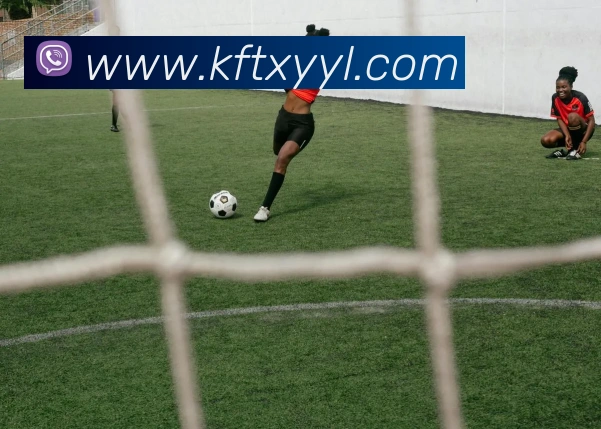 澳门大阳城娱乐场入口APP 封面图